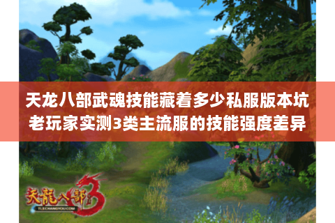 天龙八部武魂技能藏着多少私服版本坑老玩家实测3类主流服的技能强度差异