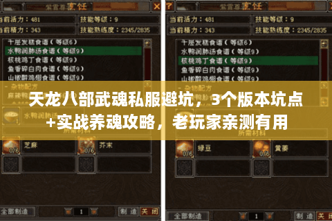 天龙八部武魂私服避坑，3个版本坑点+实战养魂攻略，老玩家亲测有用