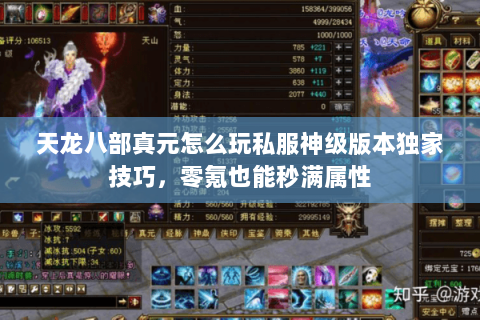 天龙八部真元怎么玩私服神级版本独家技巧,零氪也能秒满属性 天龙八部真元怎么玩私服神级版本独家技巧,零氪也能秒满属性