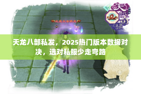 天龙八部私发，2025热门版本数据对决，选对私服少走弯路
