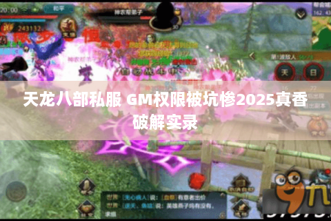 天龙八部私服 GM权限被坑惨2025真香破解实录