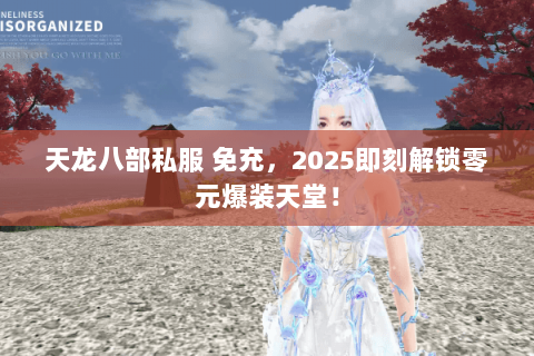 天龙八部私服 免充，2025即刻解锁零元爆装天堂！