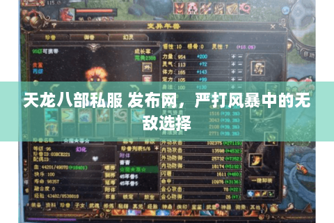 天龙八部私服 发布网,严打风暴中的无敌选择 天龙八部私服 发布网,严打风暴中的无敌选择