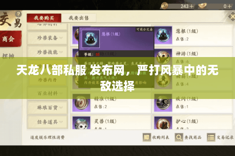 天龙八部私服 发布网,严打风暴中的无敌选择 天龙八部私服 发布网,严打风暴中的无敌选择