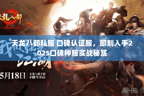 天龙八部私服 口碑认证服，即刻入手2025口碑神服实战秘笈