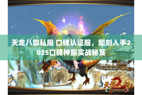天龙八部私服 口碑认证服，即刻入手2025口碑神服实战秘笈
