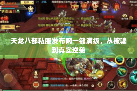 天龙八部私服发布网一键满级，从被骗到真实逆袭