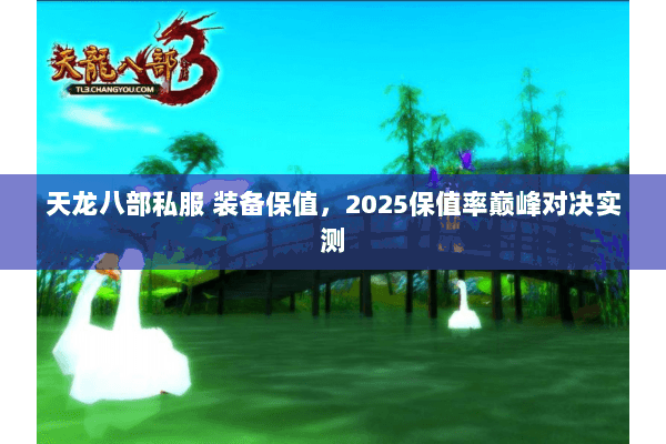 天龙八部私服 装备保值，2025保值率巅峰对决实测