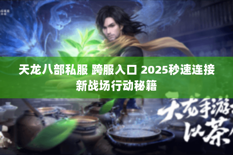 天龙八部私服 跨服入口 2025秒速连接新战场行动秘籍