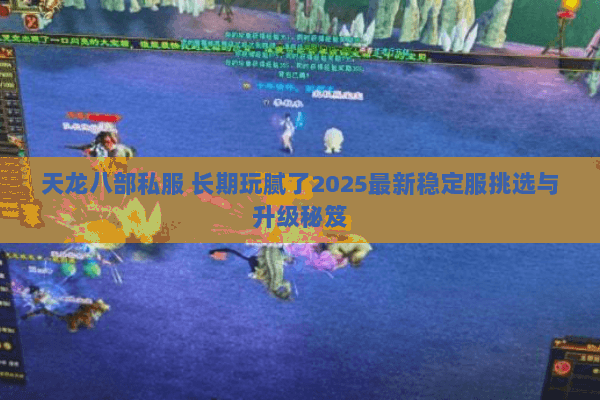 天龙八部私服 长期玩腻了2025最新稳定服挑选与升级秘笈