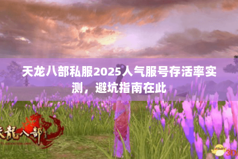 天龙八部私服2025人气服号存活率实测，避坑指南在此