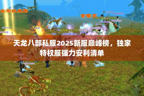天龙八部私服2025新服巅峰榜，独家特权服强力安利清单