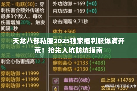 天龙八部私服2025独家福利服爆满开荒！抢先入坑防坑指南