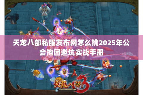 天龙八部私服发布网怎么挑2025年公会抱团避坑实战手册