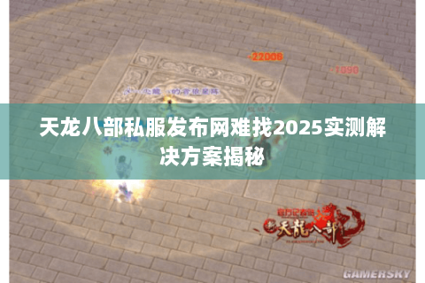 天龙八部私服发布网难找2025实测解决方案揭秘