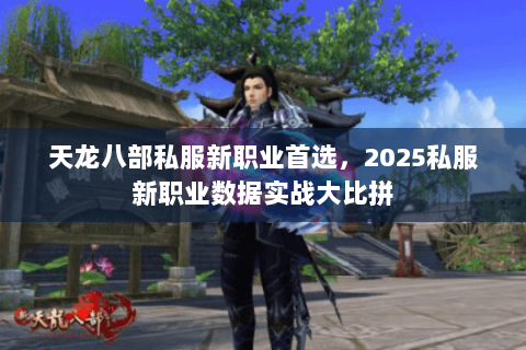 天龙八部私服新职业首选，2025私服新职业数据实战大比拼