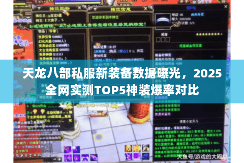 天龙八部私服新装备数据曝光，2025全网实测TOP5神装爆率对比