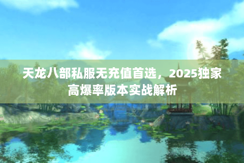 天龙八部私服无充值首选，2025独家高爆率版本实战解析