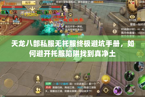 天龙八部私服无托服终极避坑手册，如何避开托服陷阱找到真净土