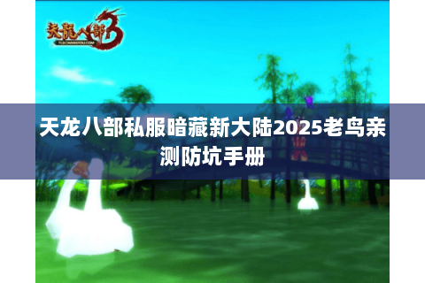 天龙八部私服暗藏新大陆2025老鸟亲测防坑手册