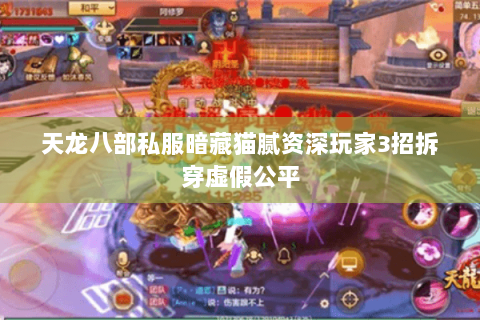 天龙八部私服暗藏猫腻资深玩家3招拆穿虚假公平