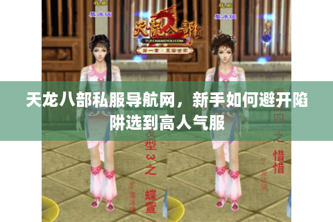 天龙八部私服导航网，新手如何避开陷阱选到高人气服