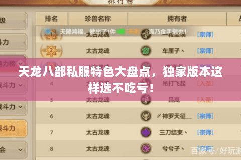 天龙八部私服特色大盘点，独家版本这样选不吃亏！