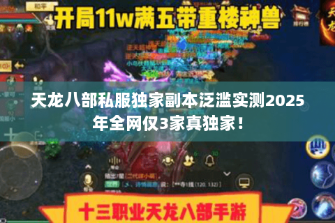 天龙八部私服独家副本泛滥实测2025年全网仅3家真独家！