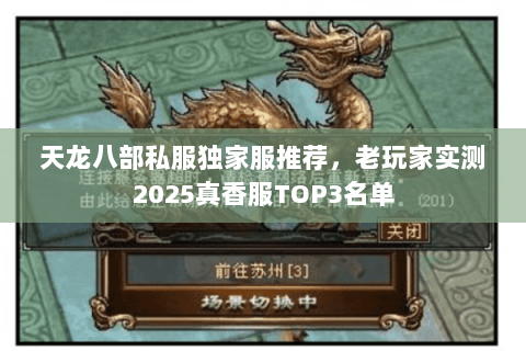 天龙八部私服独家服推荐，老玩家实测2025真香服TOP3名单