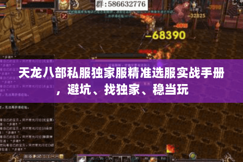 天龙八部私服独家服精准选服实战手册，避坑、找独家、稳当玩