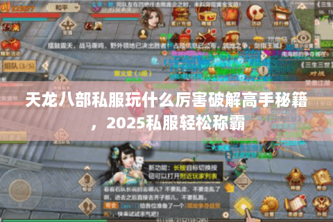 天龙八部私服玩什么厉害破解高手秘籍，2025私服轻松称霸