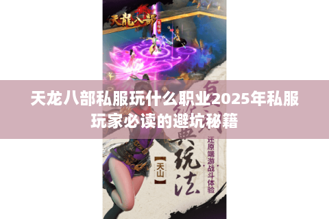 天龙八部私服玩什么职业2025年私服玩家必读的避坑秘籍