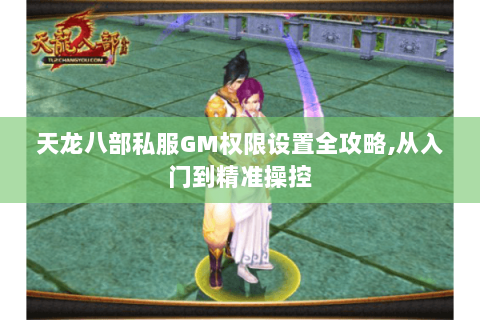 天龙八部私服GM权限设置全攻略,从入门到精准操控