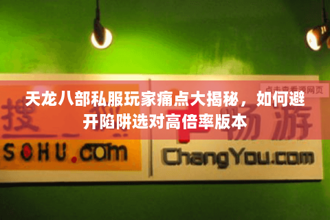 天龙八部私服玩家痛点大揭秘，如何避开陷阱选对高倍率版本