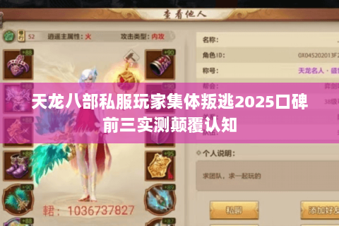 天龙八部私服玩家集体叛逃2025口碑前三实测颠覆认知