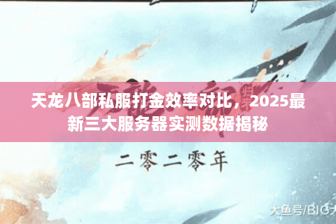 天龙八部私服打金效率对比，2025最新三大服务器实测数据揭秘