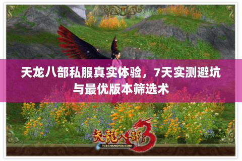 天龙八部私服真实体验，7天实测避坑与最优版本筛选术