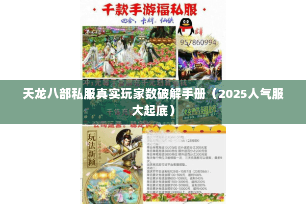 天龙八部私服真实玩家数破解手册（2025人气服大起底）