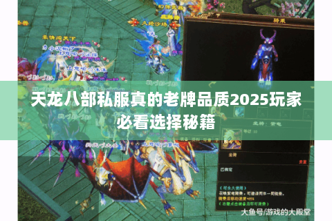 天龙八部私服真的老牌品质2025玩家必看选择秘籍
