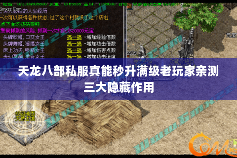 天龙八部私服真能秒升满级老玩家亲测三大隐藏作用