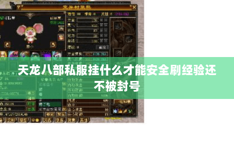 天龙八部私服挂什么才能安全刷经验还不被封号