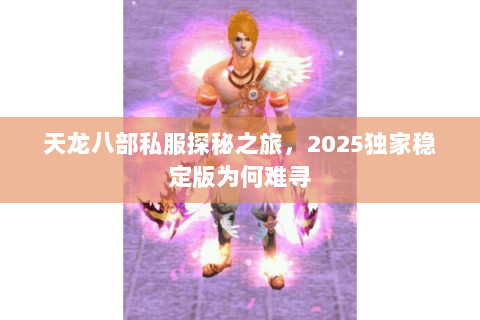 天龙八部私服探秘之旅，2025独家稳定版为何难寻