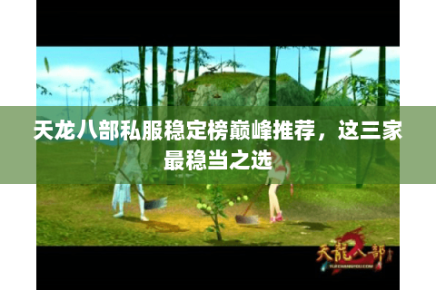 天龙八部私服稳定榜巅峰推荐，这三家最稳当之选