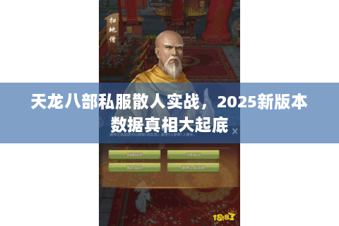 天龙八部私服散人实战，2025新版本数据真相大起底