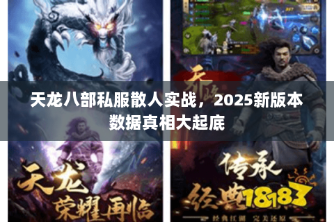 天龙八部私服散人实战，2025新版本数据真相大起底