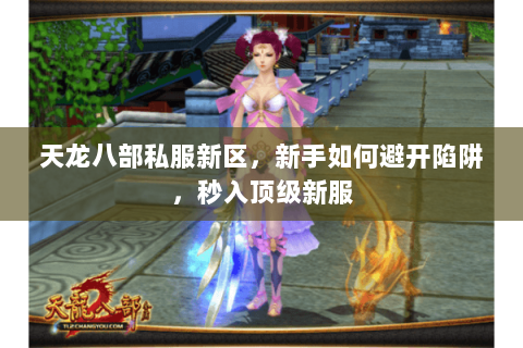 天龙八部私服新区，新手如何避开陷阱，秒入顶级新服