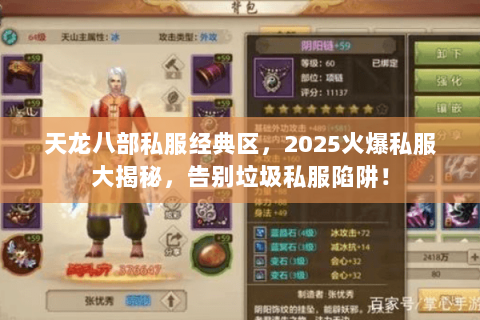天龙八部私服经典区，2025火爆私服大揭秘，告别垃圾私服陷阱！