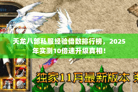 天龙八部私服经验倍数排行榜，2025年实测10倍速升级真相！