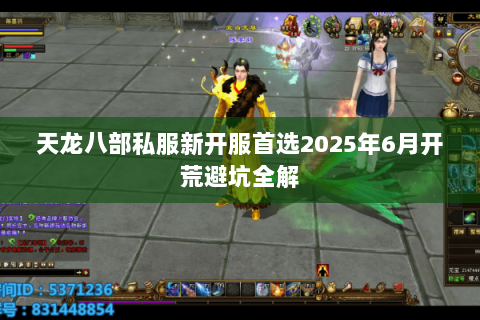 天龙八部私服新开服首选2025年6月开荒避坑全解