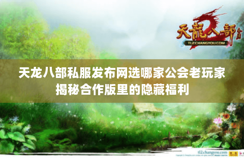 天龙八部私服发布网选哪家公会老玩家揭秘合作版里的隐藏福利